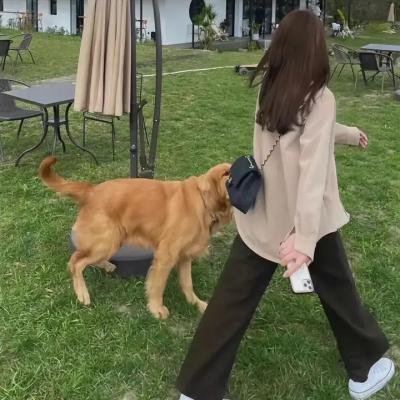 姬姥的青春期